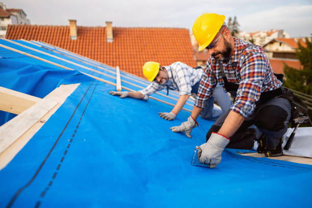 Best Roof Maintenance Services  in Elmore, OH